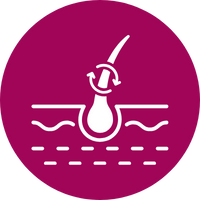 Hair Loss Treatment in Guindy, Chennai
